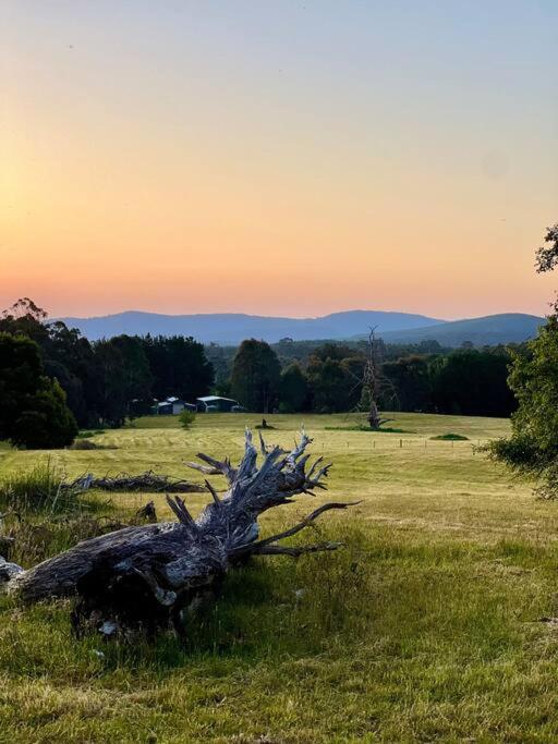 Tolmie Villa 30 Min From Mt Buller Barwite Exterior foto